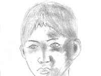 grafica (1)